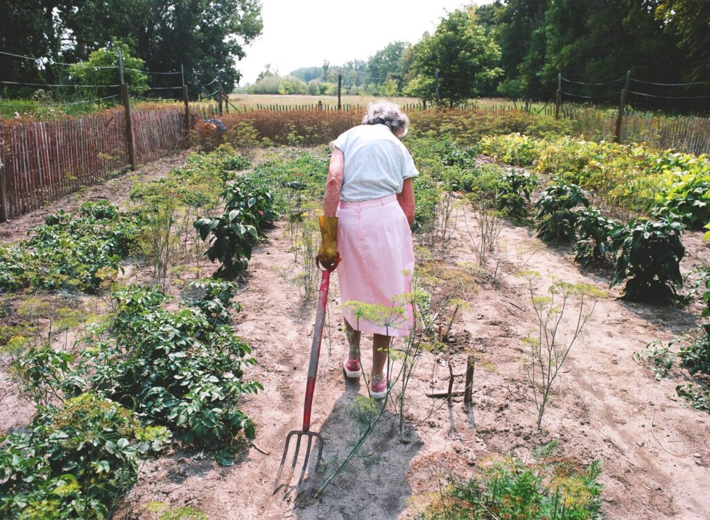 90-year-old Agatha Bock stands in her garden with a pitchfork. Her back is to the camera and she is wearing a light green shirt and pink skirt.