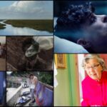 A mosaic of documentary highlights from this year's Hot Docs film festival.