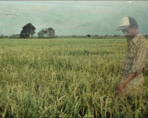 A man appears as a ghostly figure via double exposure atop of a photograph of a field. It is green with a cloudy sky. The man is standing and wearing a white ball cap.