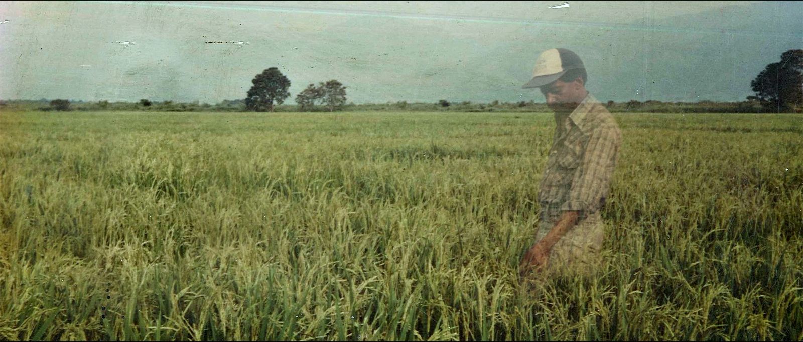 A man appears as a ghostly figure via double exposure atop of a photograph of a field. It is green with a cloudy sky. The man is standing and wearing a white ball cap.