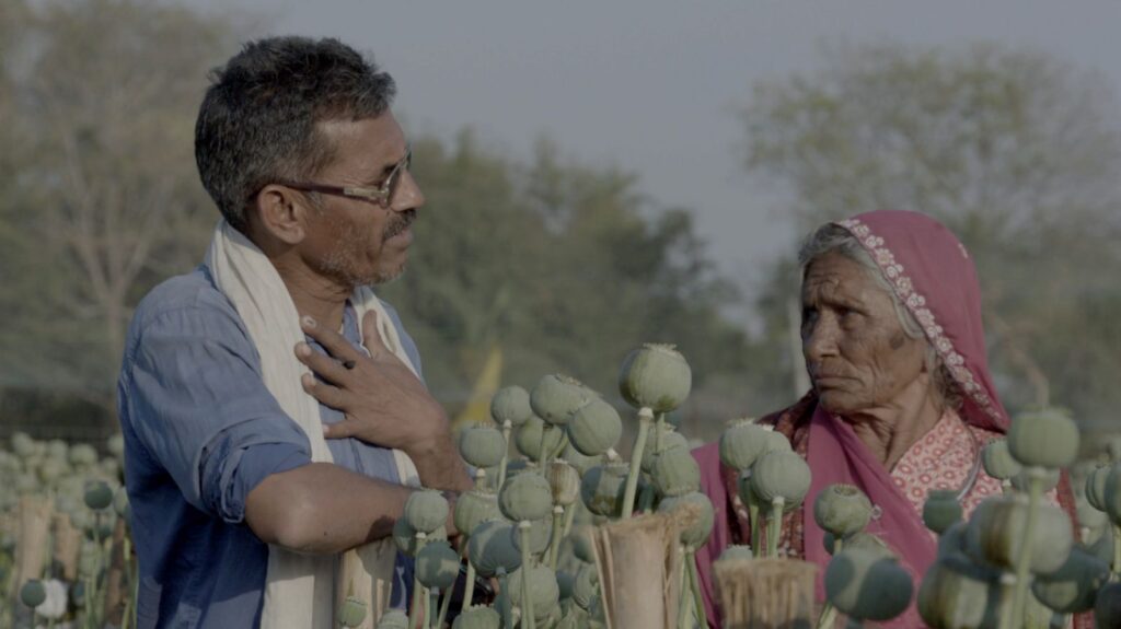 An Indian man and his elderly mother stand in a poppy field. The flowers have not yet bloomed. He has his hand on his chest while speaking to her.