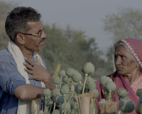 An Indian man and his elderly mother stand in a poppy field. The flowers have not yet bloomed. He has his hand on his chest while speaking to her.