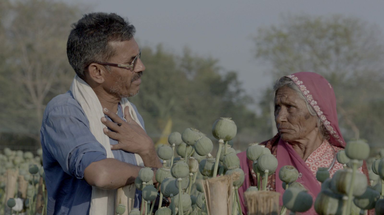 An Indian man and his elderly mother stand in a poppy field. The flowers have not yet bloomed. He has his hand on his chest while speaking to her.