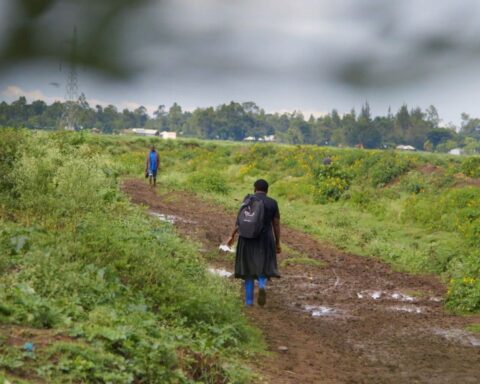 A woman stands in a green field with a dirt path. Her back is facing the camera. The sky is grey and cloudy.