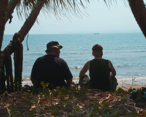 A view from behind two people as they sit on the beach and look out at the ocean. They are framed by palm trees.