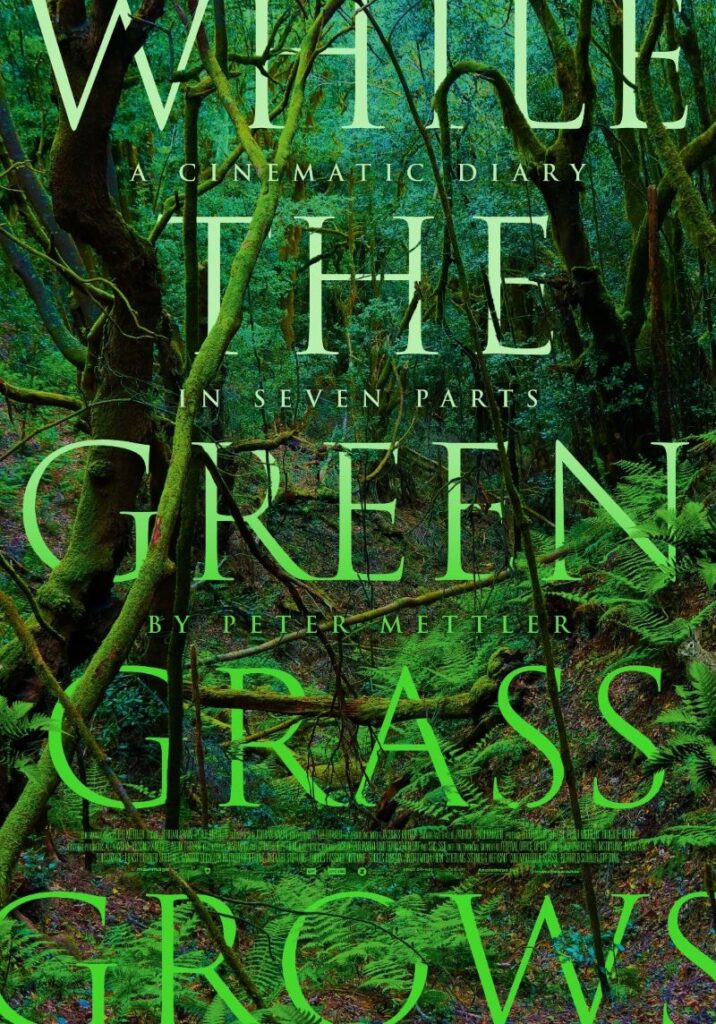 A movie poster for the documentary While the Green Grass Grows. The text appears in green atop a darker green background, offering the image of a lush forest full of trees and moss.