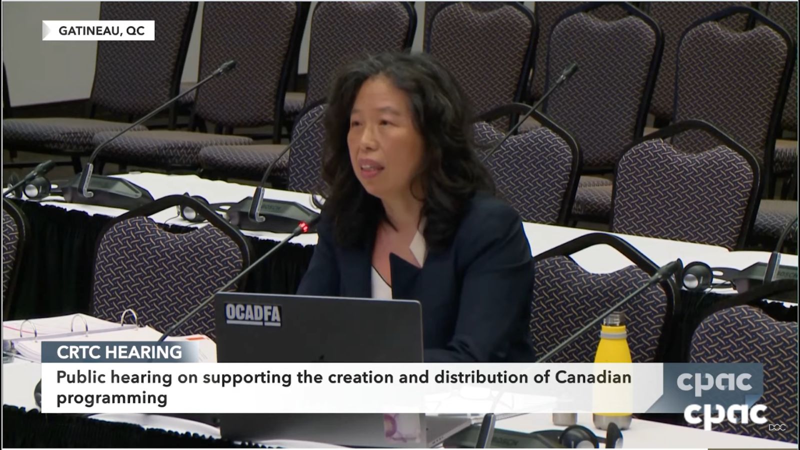 Min Sook Lee is a Korean woman in her 50s. She is wearing a suit and speaking at a microphone.