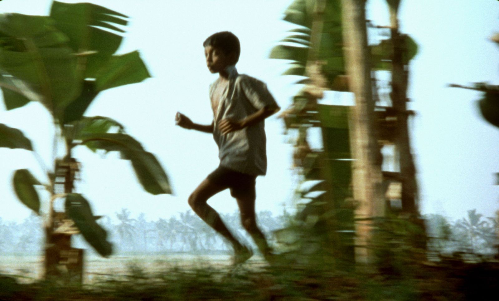 A young South Asian boy runs down the street. He is facing screen left. There are palm trees behind him.
