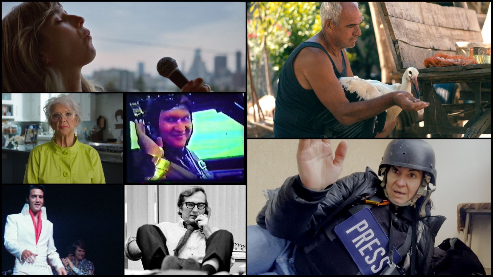 A mosaic of seven images from documentaries.