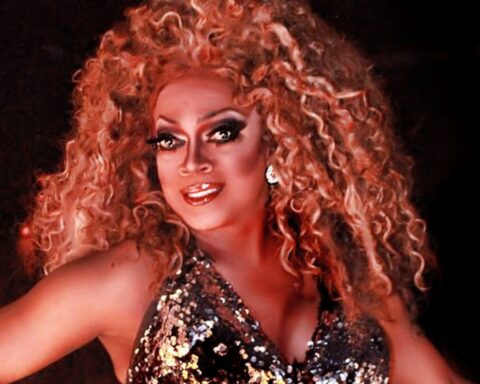 Michelle Ross was a Black drag queen. She is pictured her in a portrait wearing a silver sequined dress with a curly wig and make-up that resembles Diana Ross.