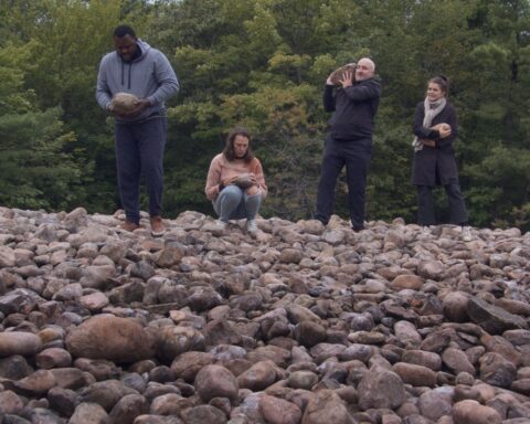 Four people stand in the distance atop of rocky shield in the forest.