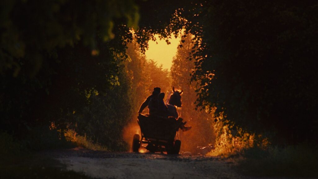 A long shot of two people in silhouette as they drive underneath a treed canopy.