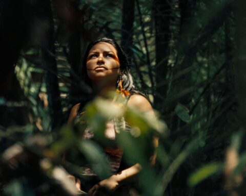 An Indigenous woman stands amid the trees of the Amazon. She looks up to the tree tops as sunlight brightens her face.