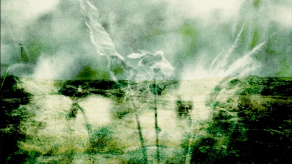 A green experimental film image features photographs of lichen, caribou, and tundra superimosed in layers.