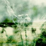 A green experimental film image features photographs of lichen, caribou, and tundra superimosed in layers.