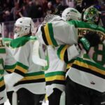 A group of hockey players stands on the ice. They are viewed from behind and are wearing white jerseys with green numbers and stripes that are green, yellow, and black.
