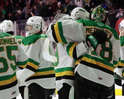 A group of hockey players stands on the ice. They are viewed from behind and are wearing white jerseys with green numbers and stripes that are green, yellow, and black.