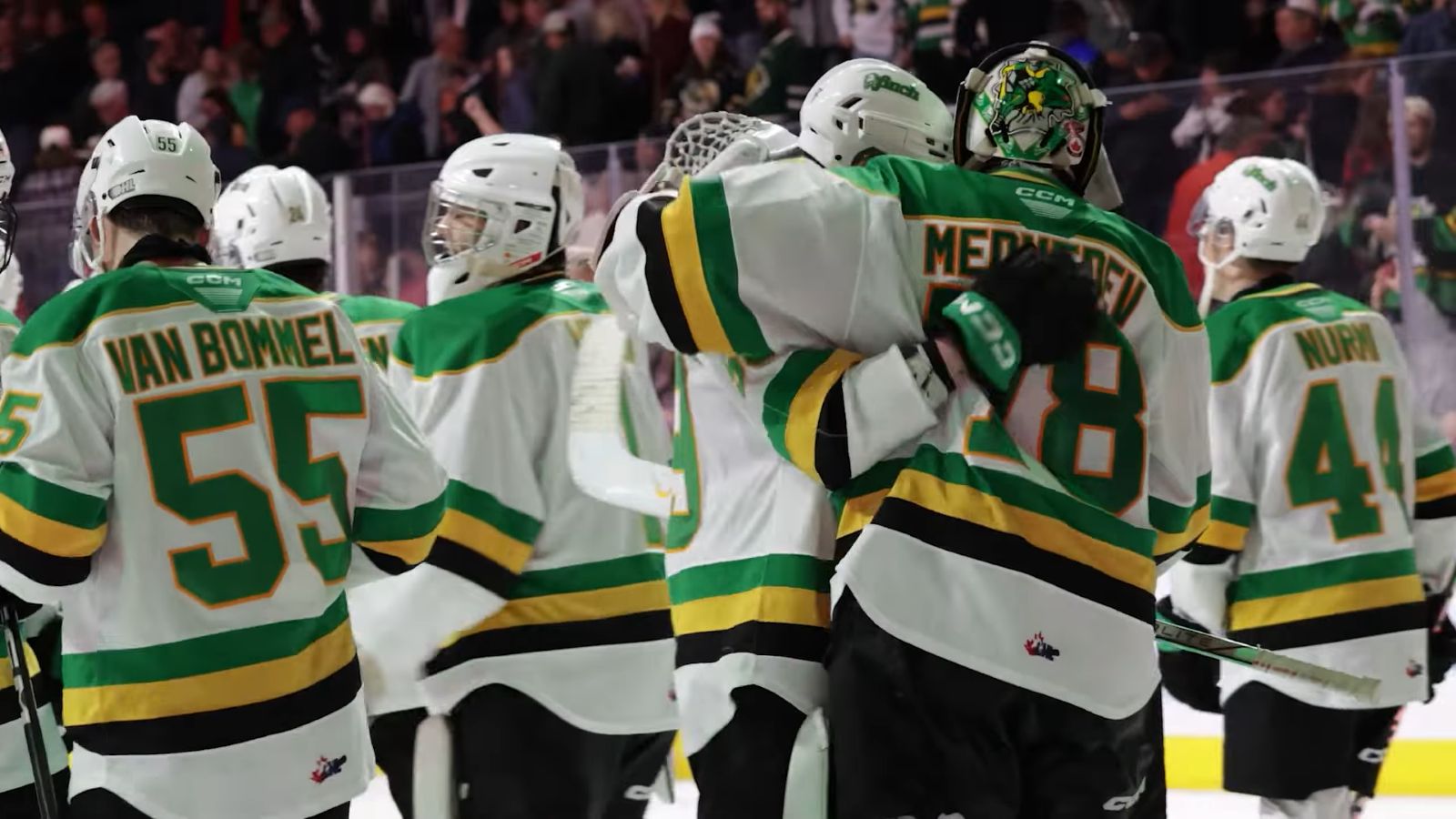 A group of hockey players stands on the ice. They are viewed from behind and are wearing white jerseys with green numbers and stripes that are green, yellow, and black.