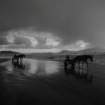 A black and white photo of two men and two horses walking along the shore of a beach. Behind them are clouds and a swirl of sunlight.