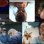 A collage of six film stills from documentaries.