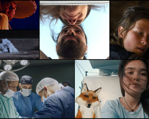 A collage of six film stills from documentaries.