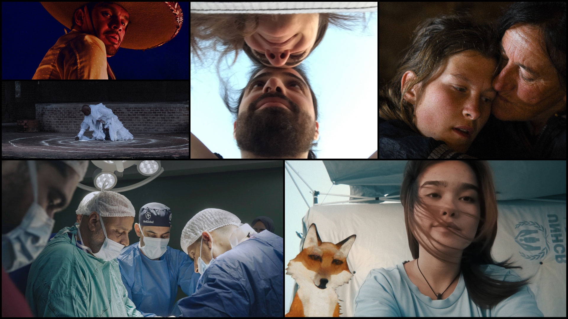 A collage of six film stills from documentaries.