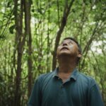 Nguyễn Dũng Thông, son of Nguyễn Văn Lém, the Viet Cong prisoner of war whose execution was captured in Eddie Adams' Saigon Execution. He is standing in a forest looking up.