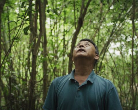 Nguyễn Dũng Thông, son of Nguyễn Văn Lém, the Viet Cong prisoner of war whose execution was captured in Eddie Adams' Saigon Execution. He is standing in a forest looking up.