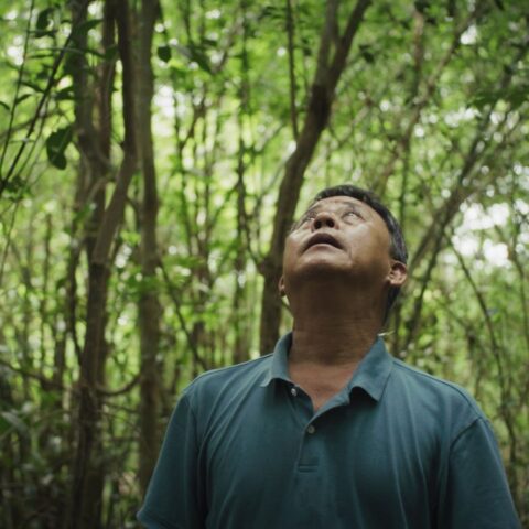 Nguyễn Dũng Thông, son of Nguyễn Văn Lém, the Viet Cong prisoner of war whose execution was captured in Eddie Adams' Saigon Execution. He is standing in a forest looking up.