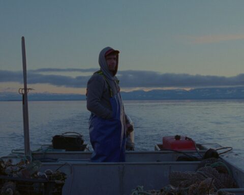 An oyster farmer stands in a boat at dusk.