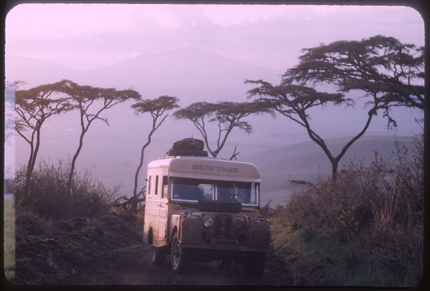 An archival photo of a white Land Rover with the words Grizzly Torque painted in black sits parked in an African safari at dusk.