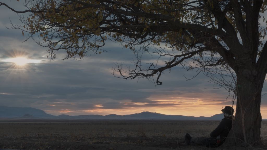 A wide shot shows a person sitting with her back to a tree, watching the sunset across a field.