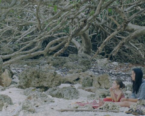 A wide shot shows a mother and her child sitting on a beach. There are many branches behind them.