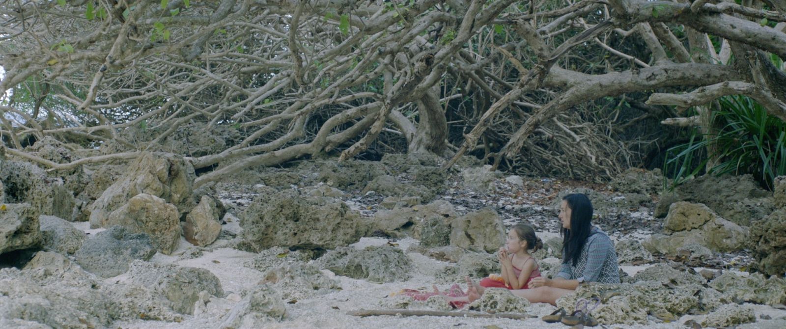 A wide shot shows a mother and her child sitting on a beach. There are many branches behind them.
