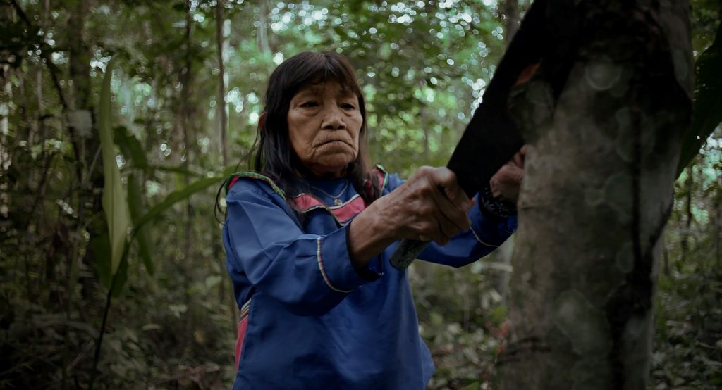 Artist Sara Flores is pictured in the Amazon, pulling park from a tree. She is a 76-year-old Indigenous woman with straight black hair. She is wearing a blue-sleeved shirt.