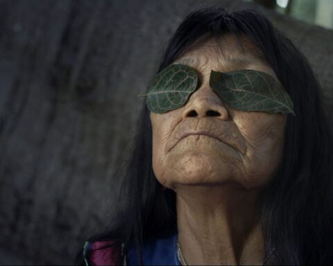 Indigenous artist Sara Flores leans back against a tree with leaves over her eyes. She is pictured in close up. She is a 76-year-old woman with black hair.