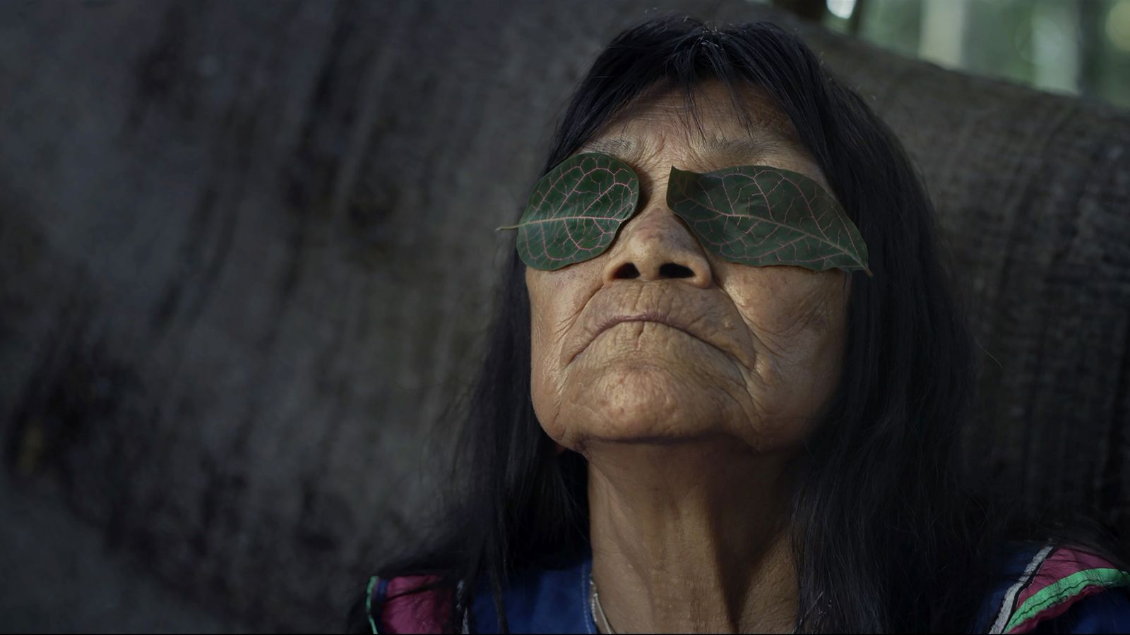 Indigenous artist Sara Flores leans back against a tree with leaves over her eyes. She is pictured in close up. She is a 76-year-old woman with black hair.