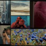 A collage of film stills.