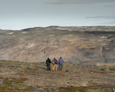 Three figures are seen from a distance as they stand in an Arctic landscape during the summer. The land is brown and green, and the sky is overcast.